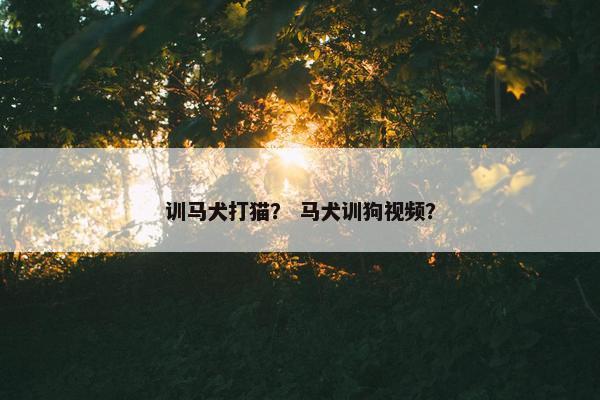 训马犬打猫？ 马犬训狗视频？