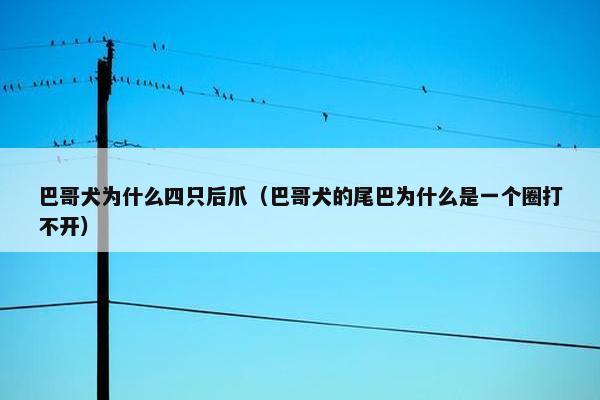 巴哥犬为什么四只后爪（巴哥犬的尾巴为什么是一个圈打不开）