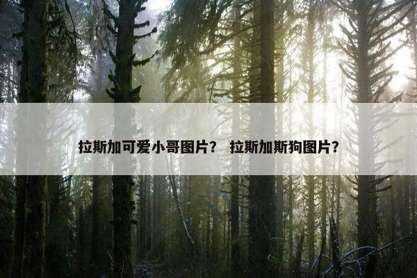 拉斯加可爱小哥图片？ 拉斯加斯狗图片？