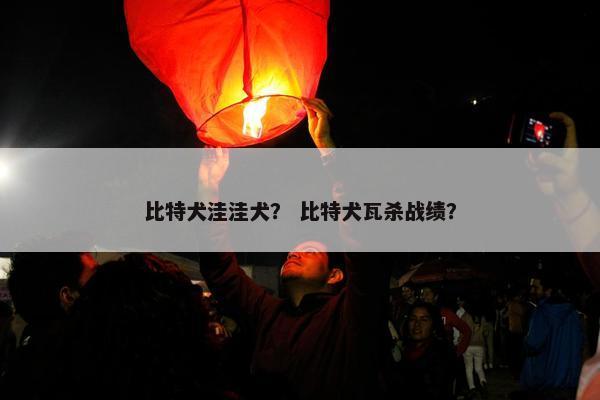 比特犬洼洼犬？ 比特犬瓦杀战绩？