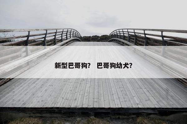 新型巴哥狗？ 巴哥狗幼犬？