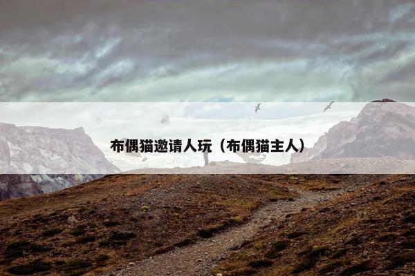 布偶猫邀请人玩（布偶猫主人）