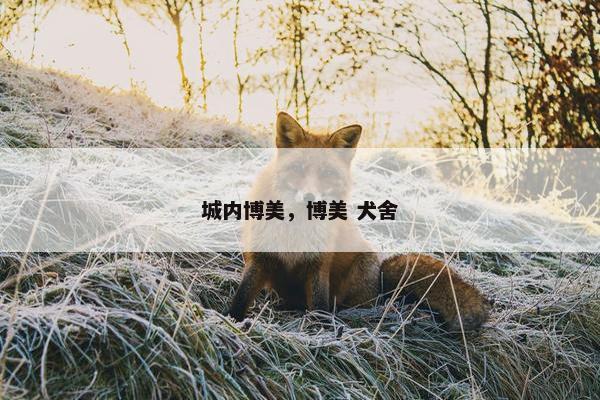 城内博美，博美 犬舍