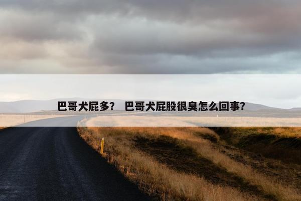 巴哥犬屁多？ 巴哥犬屁股很臭怎么回事？