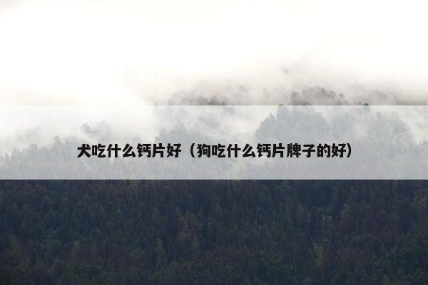 犬吃什么钙片好（狗吃什么钙片牌子的好）