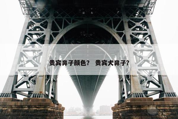 贵宾鼻子颜色？ 贵宾犬鼻子？