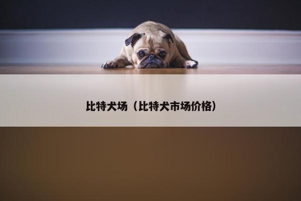 比特犬场（比特犬市场价格）