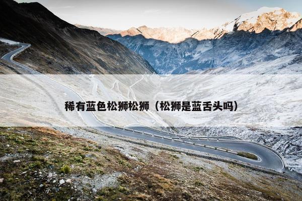 稀有蓝色松狮松狮（松狮是蓝舌头吗）