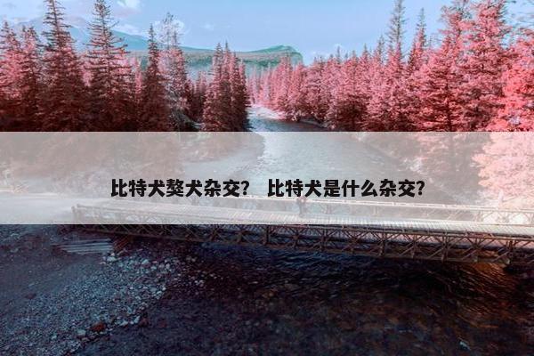 比特犬獒犬杂交？ 比特犬是什么杂交？