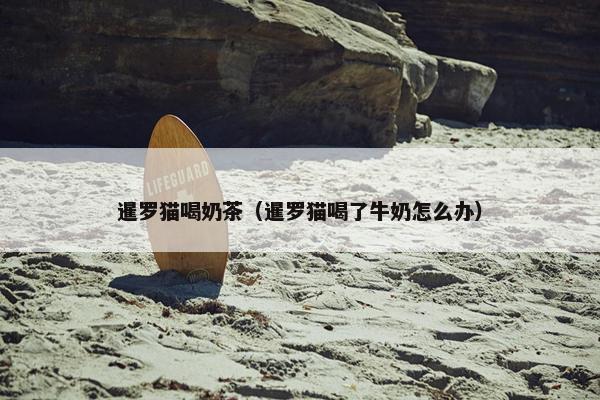 暹罗猫喝奶茶（暹罗猫喝了牛奶怎么办）