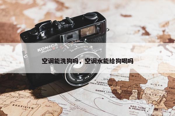 空调能洗狗吗，空调水能给狗喝吗