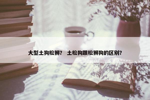 大型土狗松狮？ 土松狗跟松狮狗的区别？