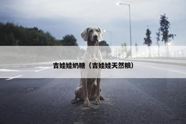 吉娃娃奶糖（吉娃娃天然粮）