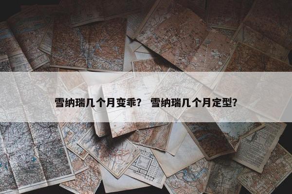 雪纳瑞几个月变乖？ 雪纳瑞几个月定型？