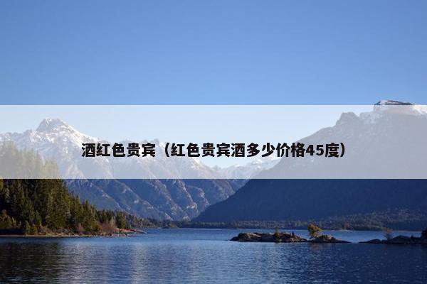 酒红色贵宾（红色贵宾酒多少价格45度）