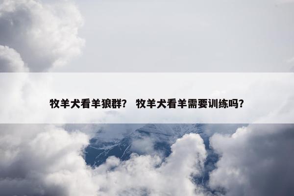牧羊犬看羊狼群？ 牧羊犬看羊需要训练吗？