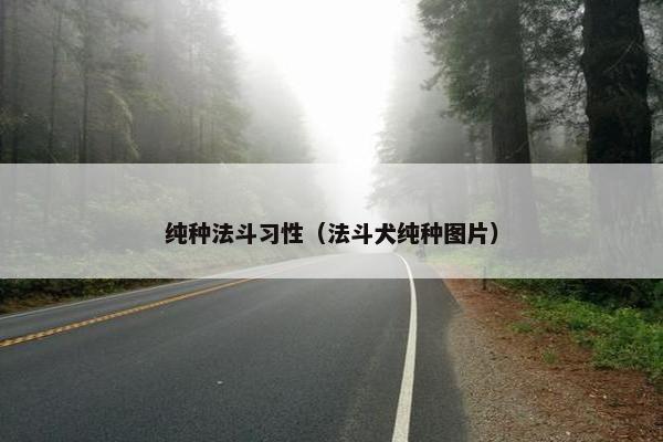 纯种法斗习性（法斗犬纯种图片）