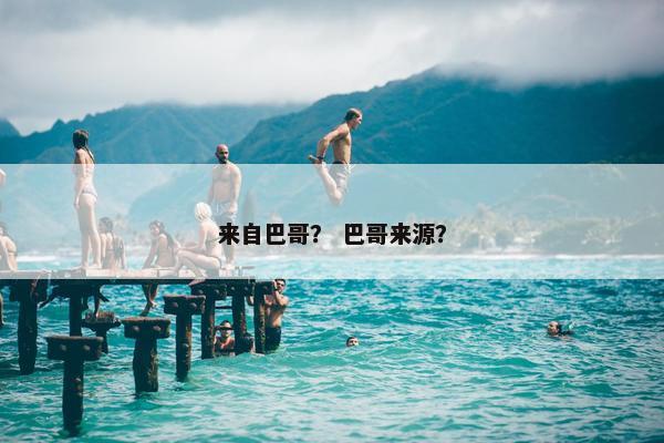 来自巴哥？ 巴哥来源？