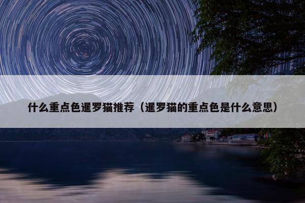什么重点色暹罗猫推荐（暹罗猫的重点色是什么意思）