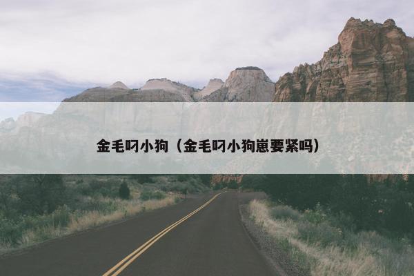 金毛叼小狗（金毛叼小狗崽要紧吗）