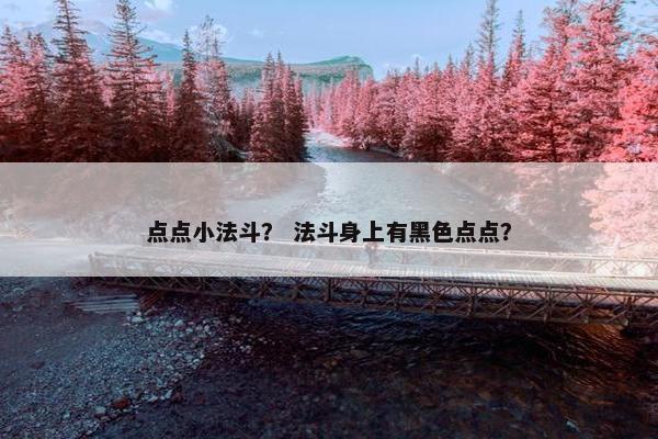 点点小法斗？ 法斗身上有黑色点点？
