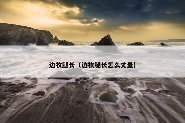边牧腿长（边牧腿长怎么丈量）