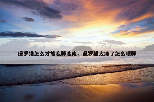 暹罗猫怎么才能变胖变瘦，暹罗猫太瘦了怎么喂胖