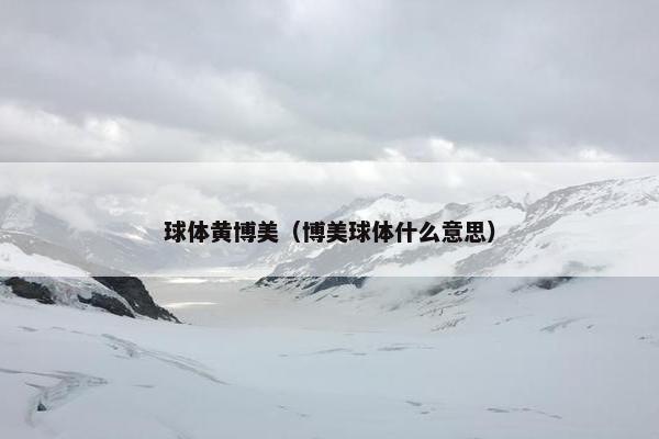 球体黄博美（博美球体什么意思）