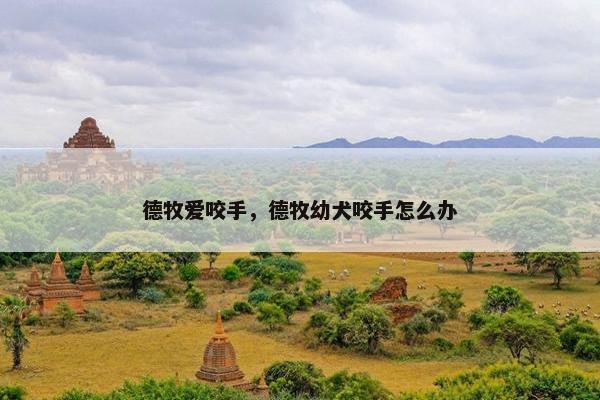 德牧爱咬手，德牧幼犬咬手怎么办
