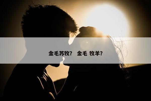 金毛苏牧？ 金毛 牧羊？