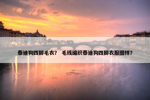 泰迪狗四脚毛衣？ 毛线编织泰迪狗四脚衣服图样？
