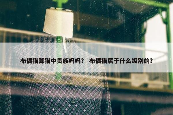 布偶猫算猫中贵族吗吗？ 布偶猫属于什么级别的？