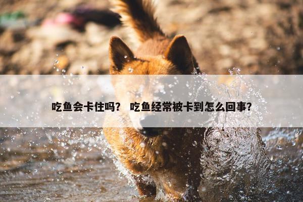 吃鱼会卡住吗？ 吃鱼经常被卡到怎么回事？