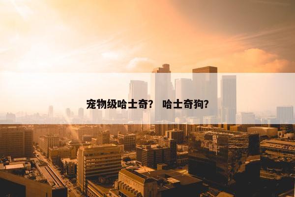 宠物级哈士奇？ 哈士奇狗？
