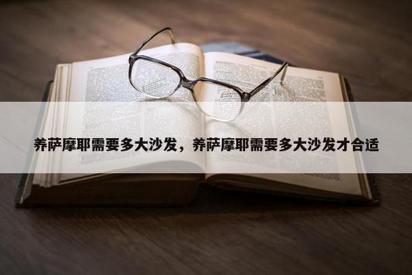 养萨摩耶需要多大沙发，养萨摩耶需要多大沙发才合适