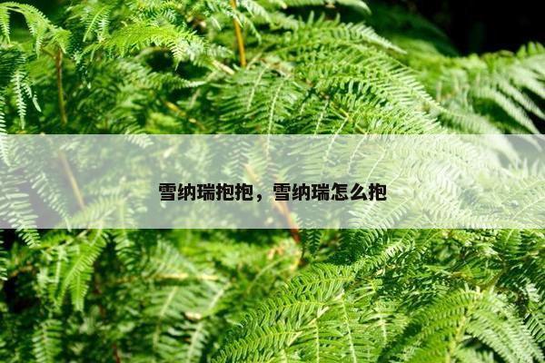 雪纳瑞抱抱，雪纳瑞怎么抱