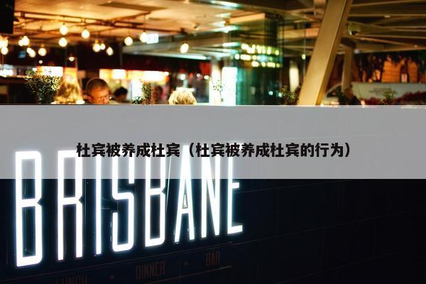 杜宾被养成杜宾（杜宾被养成杜宾的行为）