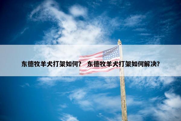 东德牧羊犬打架如何？ 东德牧羊犬打架如何解决？