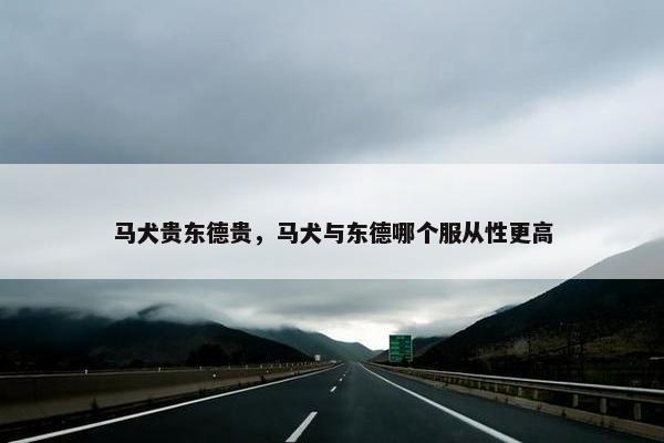 马犬贵东德贵，马犬与东德哪个服从性更高