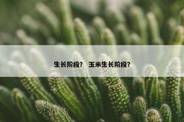 生长阶段？ 玉米生长阶段？