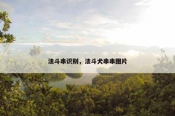 法斗串识别，法斗犬串串图片