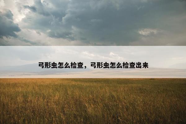 弓形虫怎么检查，弓形虫怎么检查出来