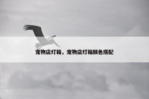 宠物店灯箱，宠物店灯箱颜色搭配