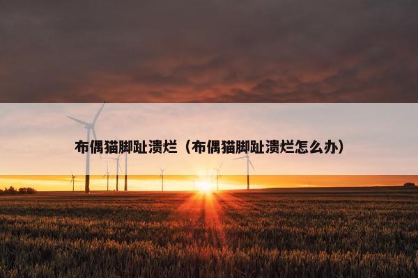 布偶猫脚趾溃烂（布偶猫脚趾溃烂怎么办）