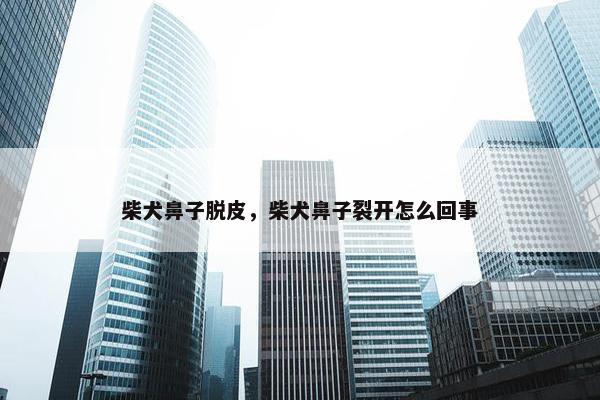 柴犬鼻子脱皮，柴犬鼻子裂开怎么回事