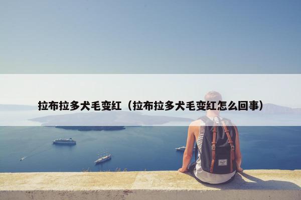 拉布拉多犬毛变红（拉布拉多犬毛变红怎么回事）
