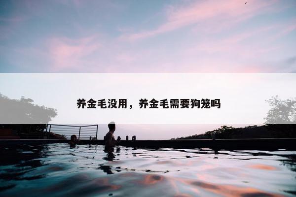 养金毛没用，养金毛需要狗笼吗