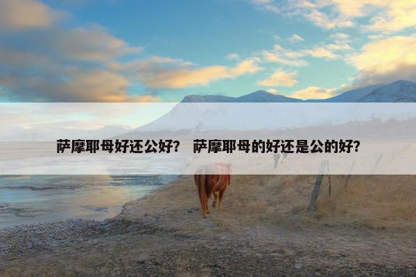 萨摩耶母好还公好？ 萨摩耶母的好还是公的好？