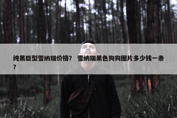 纯黑巨型雪纳瑞价格？ 雪纳瑞黑色狗狗图片多少钱一条？