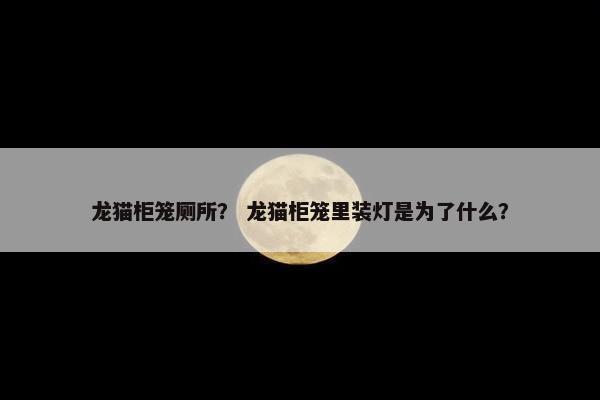 龙猫柜笼厕所？ 龙猫柜笼里装灯是为了什么？